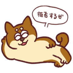 mao_20260512115953
