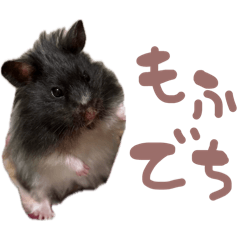 kotori_20260512121633