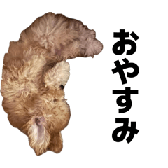 R_20260512122228