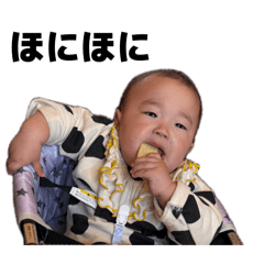koto_20260512122002