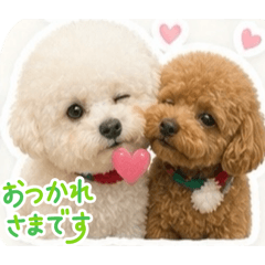 lea_20260512124244