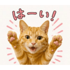 doraten_diary
