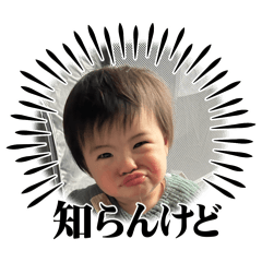 popu_20260512140010