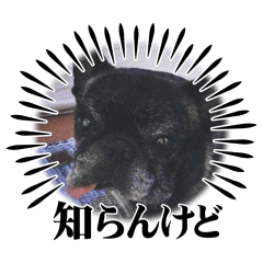 kanisan_20260512135145