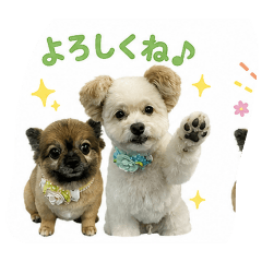 tenmaru_20260512135925