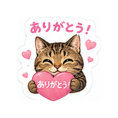 sakko-chi
