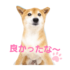 RinRin_20260512140045