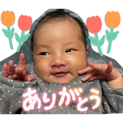 nami_20260512135852