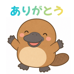 Kawaii Platypus Reactions
