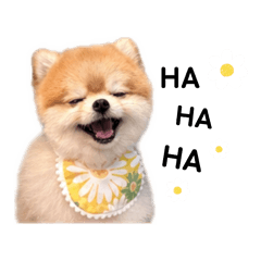 博美杜估