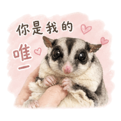 軟萌萌の小麻糬