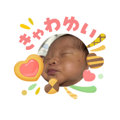 mika_20260512122458
