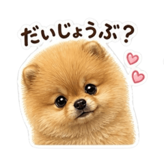 ryoco_20260502214108