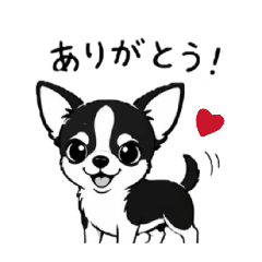 Chihuahua Love_20260512122600