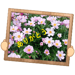 keityan_20260512122702
