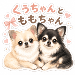 CUU & MOMO