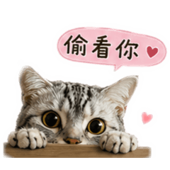 Hein可愛登場