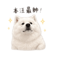 我胖我驕傲別買