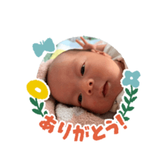 tachi_20260512123213