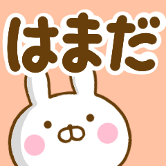 Rabbit Usahina hamada