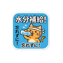 KenKen_20260512131016