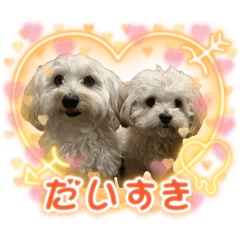 rasumimi!_20260512131338