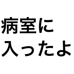 AYAKO_20260512143812