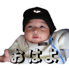 NEGO_20260512143758