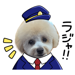 rin_20260512144631