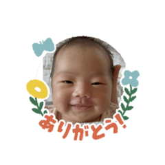 miniko_20260512144150