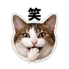 Suisui_20260512142911