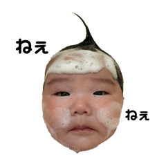moca tan_20260512144321