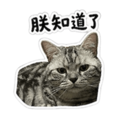 貳玖｜社畜人生
