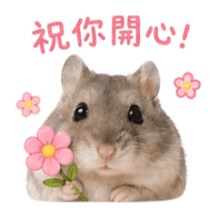 小胖ㄟ貼心問候