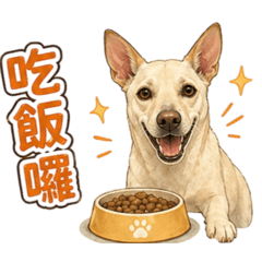 斗仔日常2