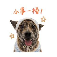 斑比part1-1
