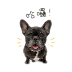 黑糖老糕