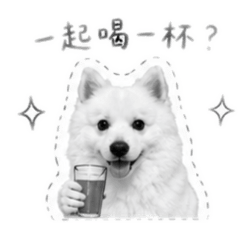 大寶愛小寶語錄