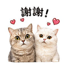 Manny & Nini生活日常