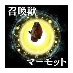 mamottonkatsu_20260502221242