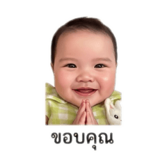 Ploywarin_20260428174340