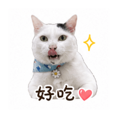 張圓圓第一彈