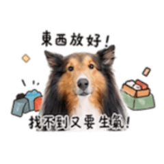 媽媽語氣的小樂寶寶