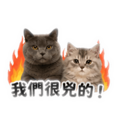 黑糖&麻古の厭世日常