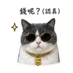 強妹1.0