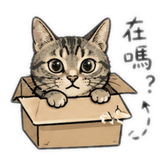 可愛豆豆說你好第一集