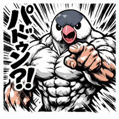 Muscle Bird Awakens