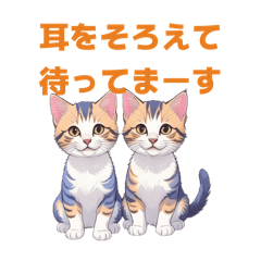 neko_20260512135215