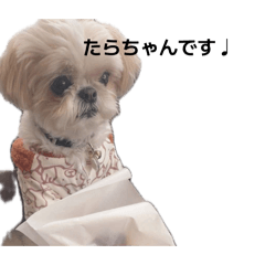 keke_20260512134649