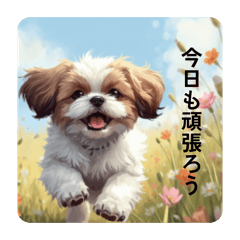 May panda_20260512141616